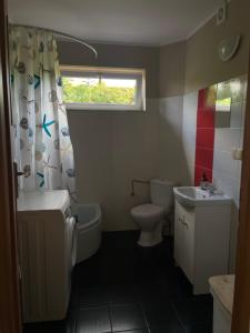 a bathroom with a sink and a toilet and a window at Apartamenty Bolszewo in Bolszewo