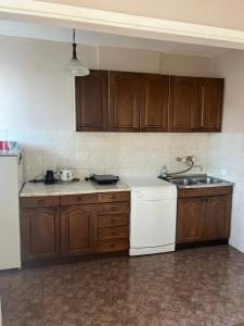 Kuchyň nebo kuchyňský kout v ubytování Apartment Vračar Nikšić