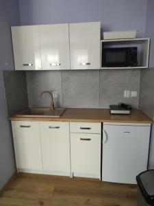 Eldhús eða eldhúskrókur á Hortenzie