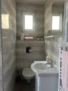 a bathroom with a sink and a toilet at Naid Apartmani in Kulen Vakuf +25 photos