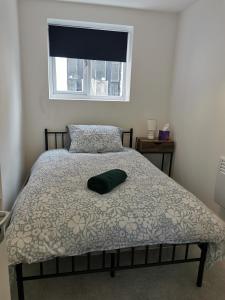 a bed with a green pillow on it in a bedroom at Snug Little Shack in Worcester +3 photos