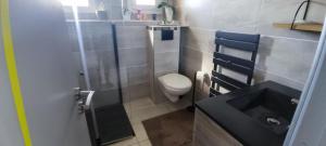 a small bathroom with a toilet and a sink at Charming family home in Couëron in Couëron +9 photos