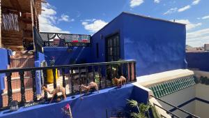 three monkeys walking on a balcony of a blue building at Riad Mamma MARRAKESH in Marrakech