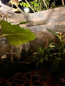 Fotografie z fotogalerie ubytování Bently Farm Retreat Mũi Né- Premium Bungalow-03 v destinaci Kon Rung (1)