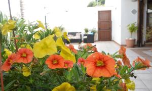 Gallery image of Kimos in San Vito lo Capo