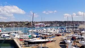 a bunch of boats are docked in a marina at Pinnacle Suites Hotel in Cowes
