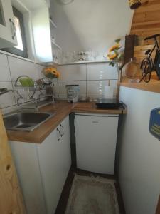Kuchyň nebo kuchyňský kout v ubytování Planinska kuca-Jovanovic!
