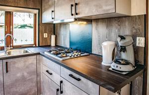 a kitchen with a counter with a blender on it at Nice StaCaravan In Reutum With Wifi in Reutum