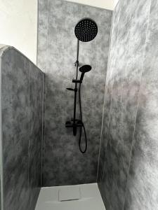 a shower with a shower head in a bathroom at Appartement Marine - Résidence La Porte Verte in Boulogne-sur-Mer