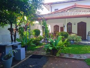 a garden in front of a house with plants at The Shilpa Villa in Unawatuna