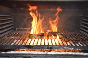 a grill with a bunch of fire in it at Hotel Mondschein in Plaus