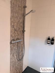 a shower with a shower head in a bathroom at Villa Aubépines in Rochefort +18 photos