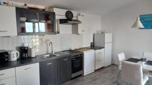 Kuchyň nebo kuchyňský kout v ubytování Apartment Inter Vivos