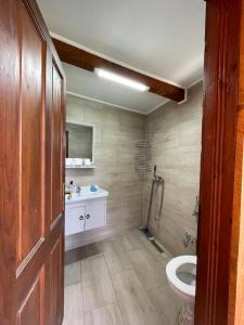 a bathroom with a toilet and a sink at NINO Natural wood house in Visoko