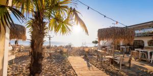 a palm tree on the beach next to a restaurant at Sea Garden Marina 2 in Varna City