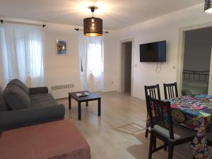 TV a/nebo společenská místnost v ubytování Apartments Knezgrad