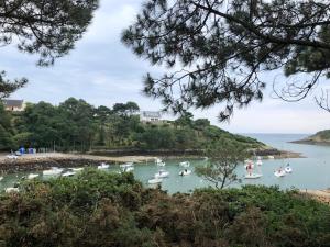 Φυσικό τοπίο κοντά σε αυτό το κάμπινγκ