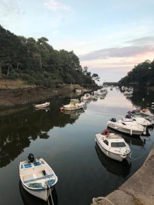 Φυσικό τοπίο κοντά σε αυτό το κάμπινγκ