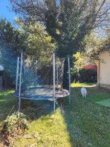 a cat standing next to a swing in a yard at Hossegor, Maison Familiale Intergénérationnelle , Quartier Calme et Résidentiel in Hossegor
