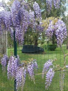 Gallery image of Le logis de LANGE apt Les Aigrettes in Saint-Hilaire-la-Palud