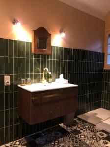 a bathroom with a sink and a green tiled wall at La Maison aux murs anciens et ses chambres in Tarbes +32 photos