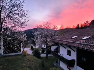 Příroda nedaleko apartmánu