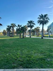 a field of grass with palm trees in a park at Torremar Living in Oropesa del Mar +25 photos