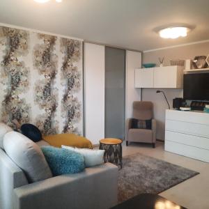 a living room with a couch and a tv at Lennuki Apartement in Rakvere