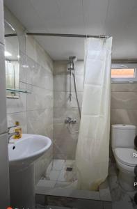 a bathroom with a shower and a sink and a toilet at Eka's house in Goristsikhe in Itʼkhvisi