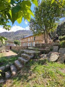 un hombre sentado en las escaleras de un edificio en Chaukhamba Cradle, en Ukhimath