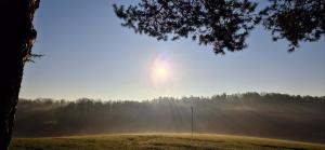 a foggy field with a soccer field with a fence at Ferienapartment Haus am Grün 3 "Sunset" - Ruhe & Entspannung mitten in der Natur in Herzberg am Harz