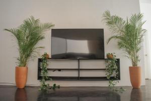Μια τηλεόραση ή/και κέντρο ψυχαγωγίας στο Chill Inn Hostel