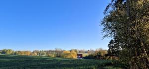 a field with a tree and a barn in the distance at Ferienapartment Haus am Grün 2 "Sunshine" - Ruhe & Entspannung mitten in der Natur in Herzberg am Harz
