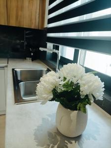 Cucina o angolo cottura di Azure Mirage Home Adults Only Private Seaside Villa w Garden and Parking