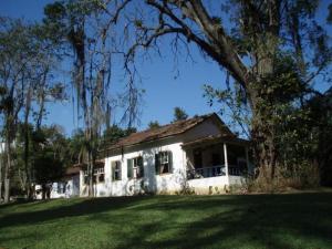 Una casa blanca con un árbol delante. en Pouso Donana Cama e Café, en Itaipava