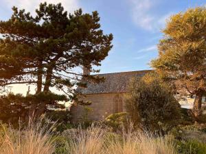 an old house with a tree in front of it at PETITE MAISON à 100M DE LA MER ET DU CENTRE VILLE in Concarneau