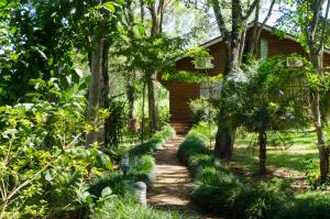 a path in front of a house with trees at Canto de Pájaros in Wanda