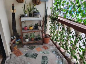 Fotografie z fotogalerie ubytování Casa Miraflores v destinaci Santa Rosa de Copán