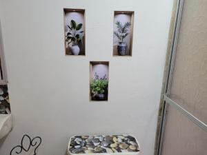 Fotografie z fotogalerie ubytování Casa Miraflores v destinaci Santa Rosa de Copán