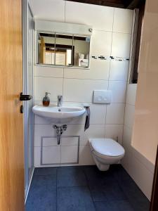 a bathroom with a sink and a toilet at Natur Pur-Waldurlaub im Tiny House in Ronshausen +11 photos