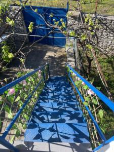 Zahrada ubytování Little himara 1