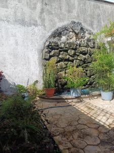 a stone wall with potted plants on a patio at Purple Lotus Cozumel in Cozumel +2 photos