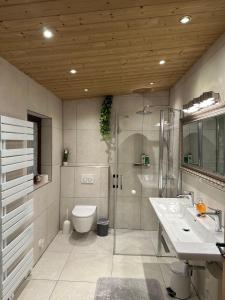 a bathroom with a shower and a toilet and a sink at CASA LOFT & LaMansarda in Zirndorf