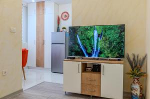 TV a/nebo společenská místnost v ubytování Marra Central Studio