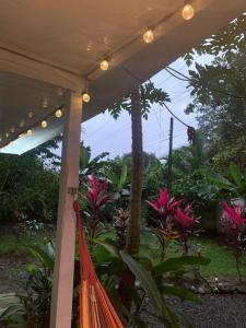 a porch with a hammock in a garden at Casa Rio Verde in Cahuita