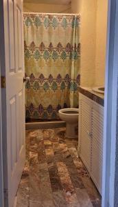 a bathroom with a toilet and a shower curtain at Apartment on the French Riviera in Acapulco