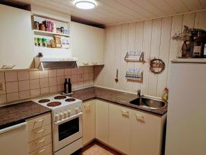 a small kitchen with a sink and a stove at Cosy Cabin close to Lake in Ludvigsborg
