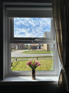 a window with a vase with pink flowers in it at Brada View Bamburgh in Bamburgh