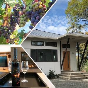 Κήπος έξω από το Modern Wine Country Home on 10 acres with vineyard