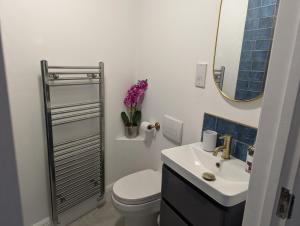 a bathroom with a toilet and a sink and a mirror at Ox Lane Annexe - Harpenden in Harpenden